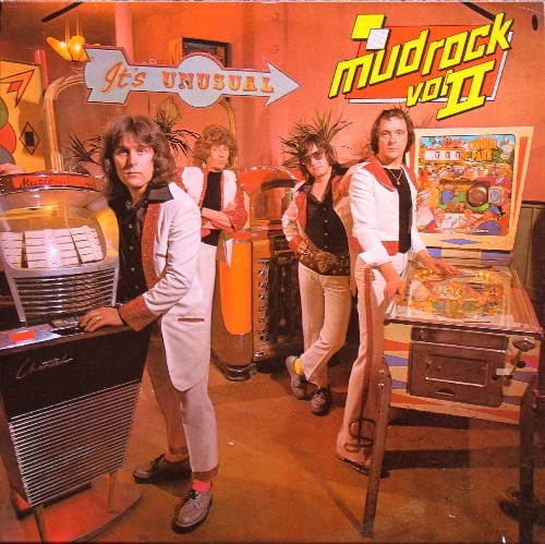 UNUSUAL, ITS - MUD ROCK VOL. 2 SRAK 513 - фото 3714