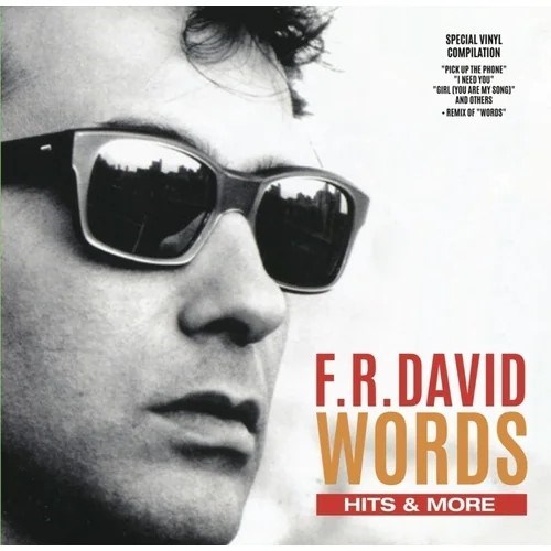 F.R. DAVID WORDS - HITS & MORE 6558400023319 - фото 3916