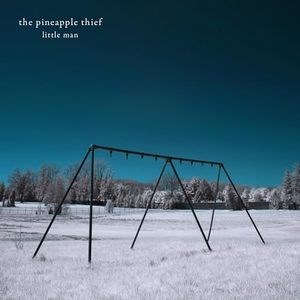 PINEAPPLE THIEF - LITTLE MAN 802644814919 - фото 4071