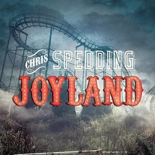 CHRIS SPEDDING - JOYLAND 741157214512 - фото 4242