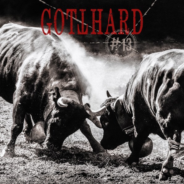 GOTTHARD - #13 727361512415 - фото 4458