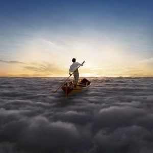 PINK FLOYD - THE ENDLESS RIVER 825646215478 - фото 4788