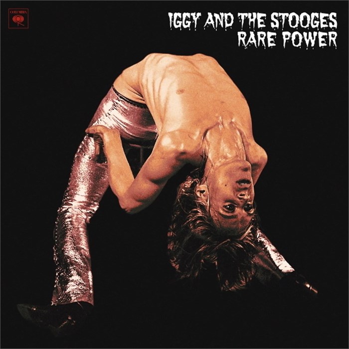 IGGY AND THE STOOGES - RARE POWER 190758035314
