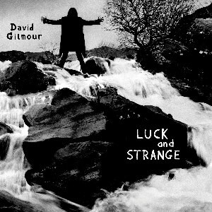 DAVID GILMOUR - LUCK AND STRANGE 198028046114/1