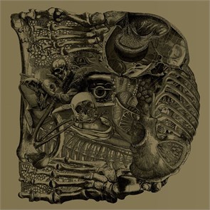 BORIS DEAR - HEAVY 2907202533