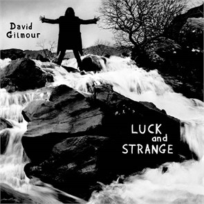 DAVID GILMOOUR - LUCK AND STRANGE (SEA BLUE VINYL) 198028124218