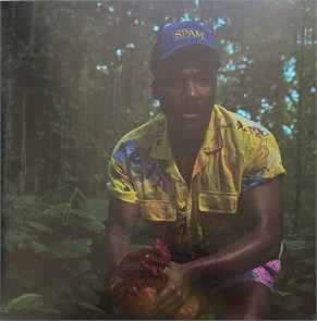 CHILDISH GAMBINO - BANDO STONE AND THE NEW WORLD 198028402217