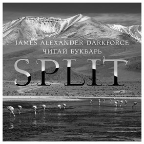ЧИТАЙ БУКВАРЬ - SPLIT 20250728124