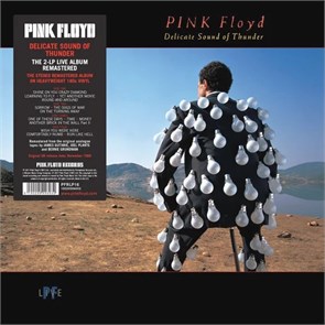 PINK FLOYD - DELICATE SOUND OF THUNDER 0190295996932