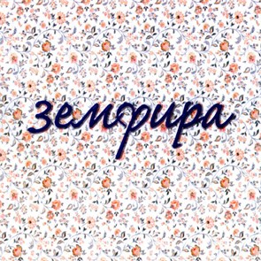 {{photo.Alt || photo.Description || 'ЗЕМФИРА - ЗЕМФИРА  (иноагент в РФ)'}}