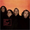ЗВУКИ МУ - ГРУБЫЙ ЗАКАТ(ORANGE VINYL) 4668010261048 - фото 3090