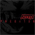 ACCEPT - PREDATOR 8719262014596 - фото 32