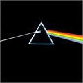 PINK FLOYD - THE DARK SIDE OF THE MOON 50 196587202712 - фото 3794