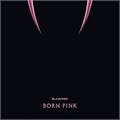 BORN PINK - BLACKPINK 602448480095 - фото 4548
