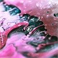 LINKIN PARK - FROM ZERO (TRANSPARENT PETROL VINYL) 093624839941 - фото 4629