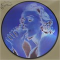 MADONNA - EROTICA (PICTURE VINYL) 603497837618 - фото 4643