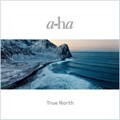 A-HA - TRUE NORTH 196587083014 - фото 46