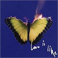 MAROON 5 - LOVE IS LIKE 602478218071 - фото 4959