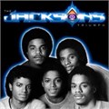 JACKSONS - TRIUMPH 07464364241 - фото 5035