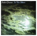 PETER GREEN - IN THE SKIES 8719262001374