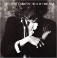 WATERBOYS - THIS IS THE SEA ENCL 5