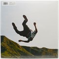 TYLER, THE CREATOR - WOLF 196588204517